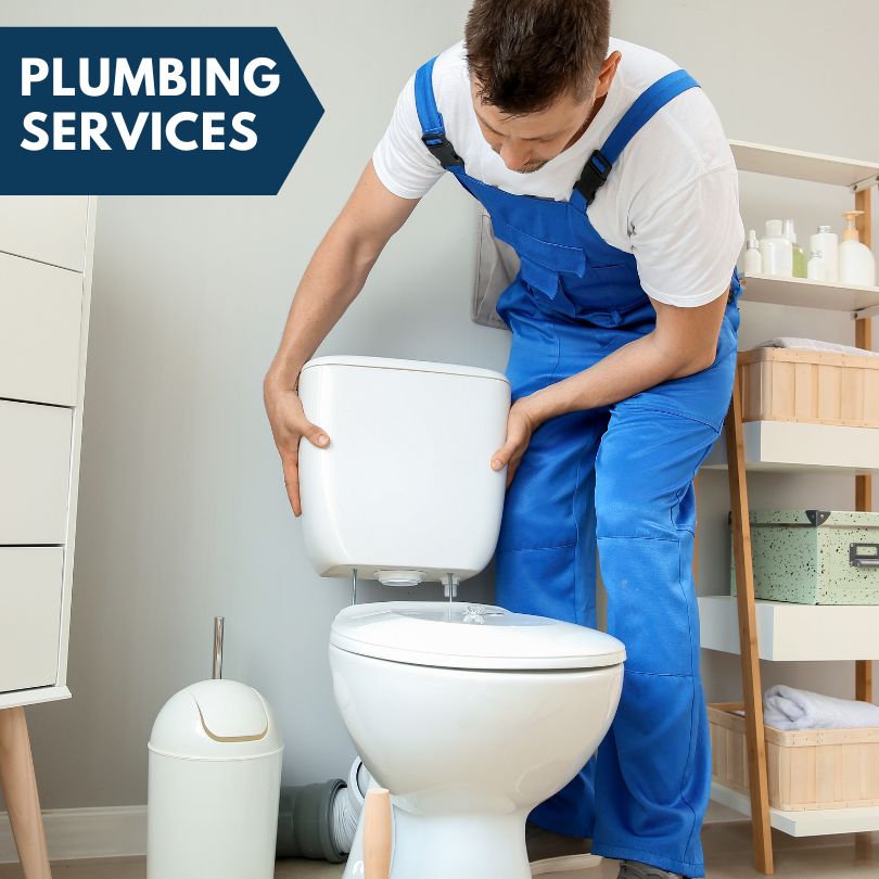 Plumbing Company in Dansville, NY